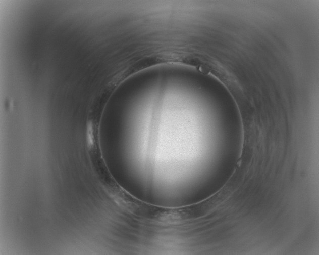 X0000072960075200607282307