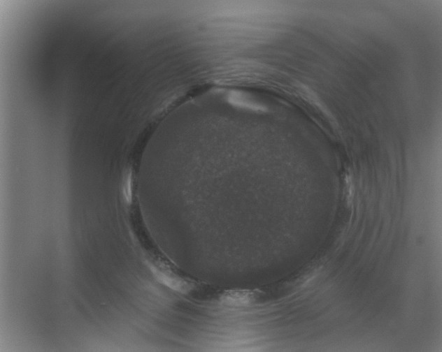 X0000072960076200607282307