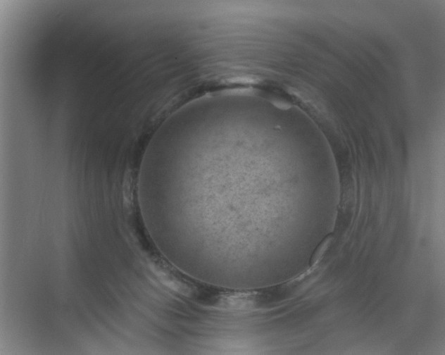 X0000072960078200607282307