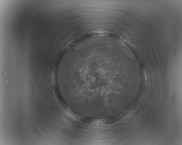 X0000072960080200607282307