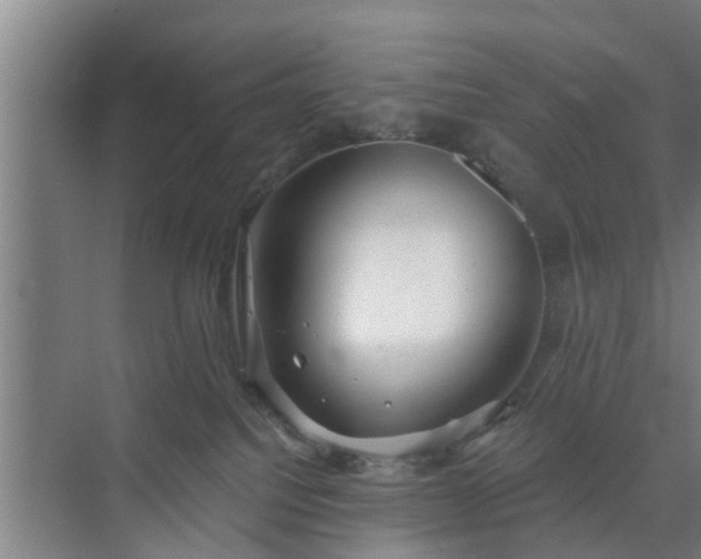 X0000072960088200607282307