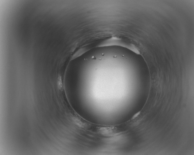 X0000072960089200607282307