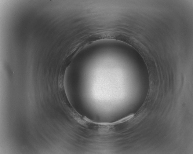 X0000072960096200607282307