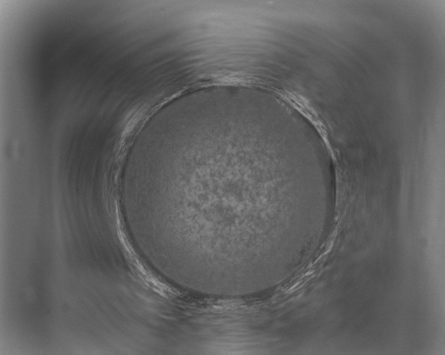 X0000072960097200607282306