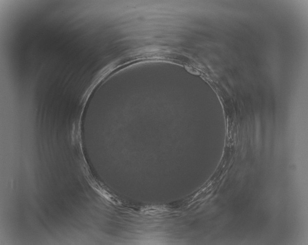 X0000072960099200607282306