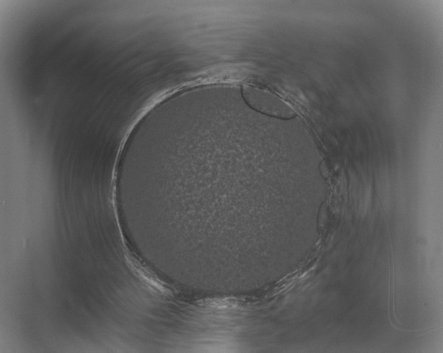 X0000072960100200607282306