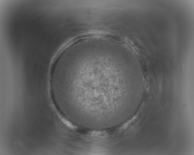 X0000072960101200607282306