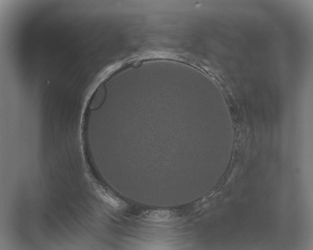 X0000072960104200607282306