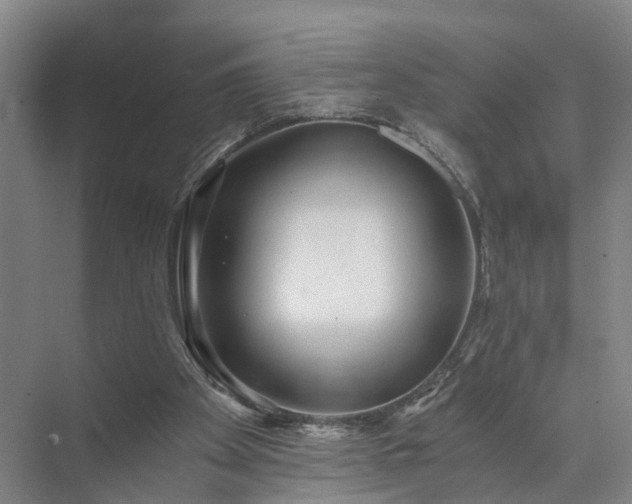 X0000072960105200607282306