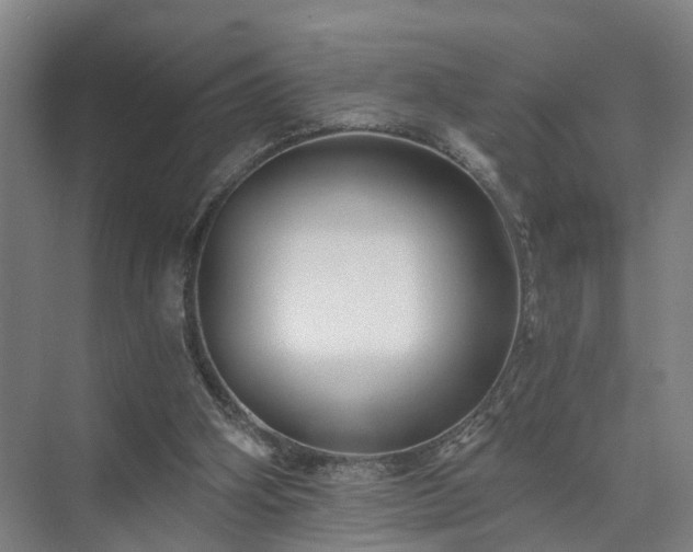 X0000072960106200607282306