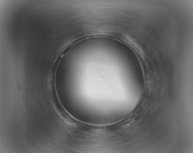 X0000072960107200607282306