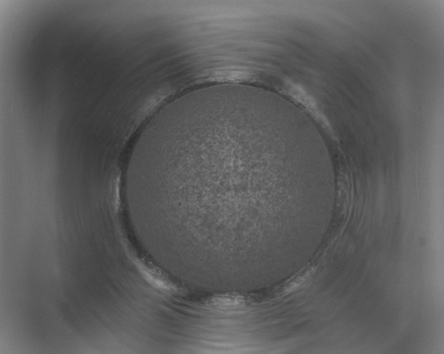 X0000072960110200607282306