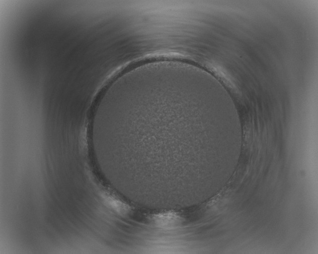 X0000072960112200607282306