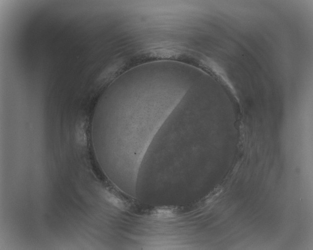 X0000072960114200607282306