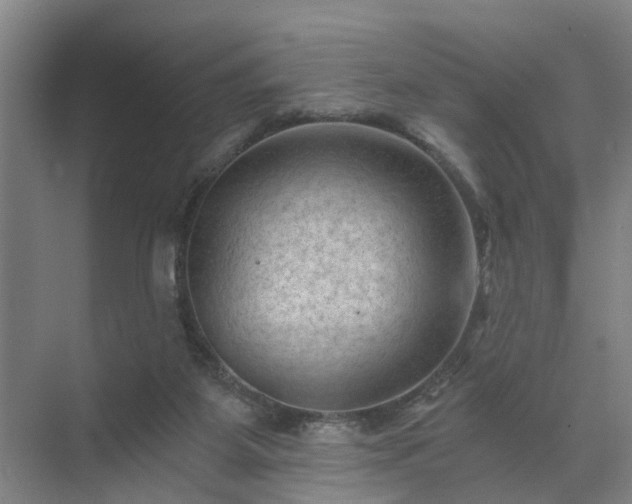 X0000072960115200607282306