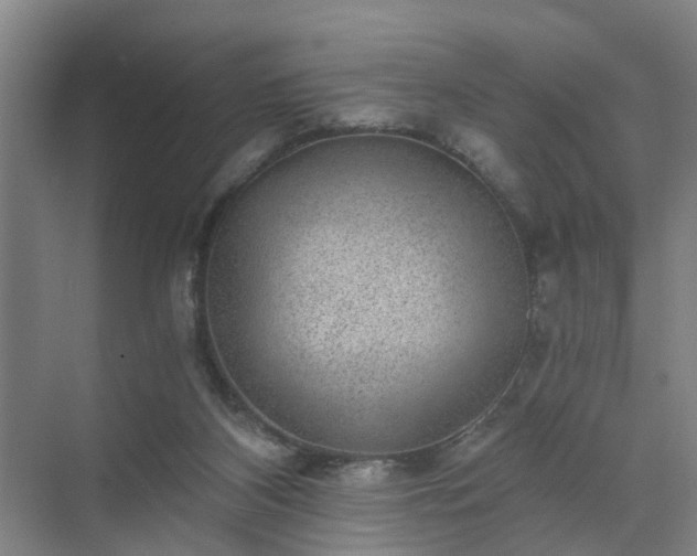 X0000072960116200607282306