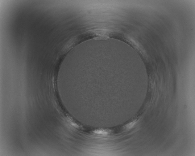 X0000072960117200607282306