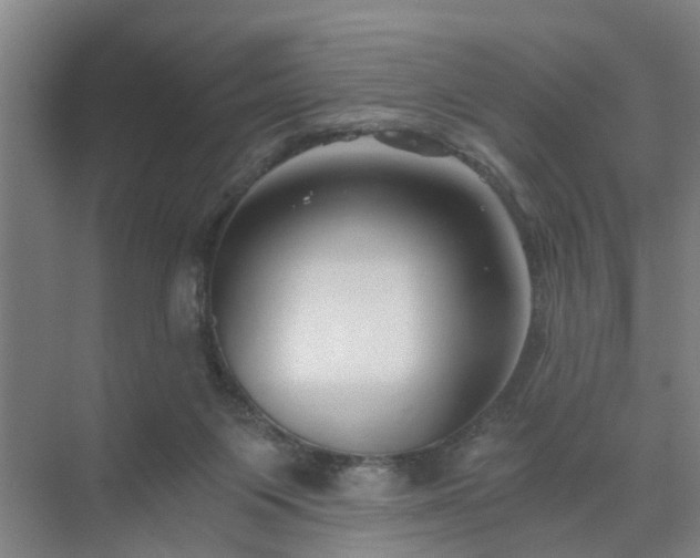 X0000072960119200607282306