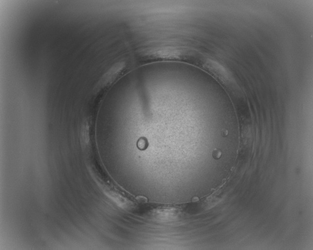 X0000072960120200607282306