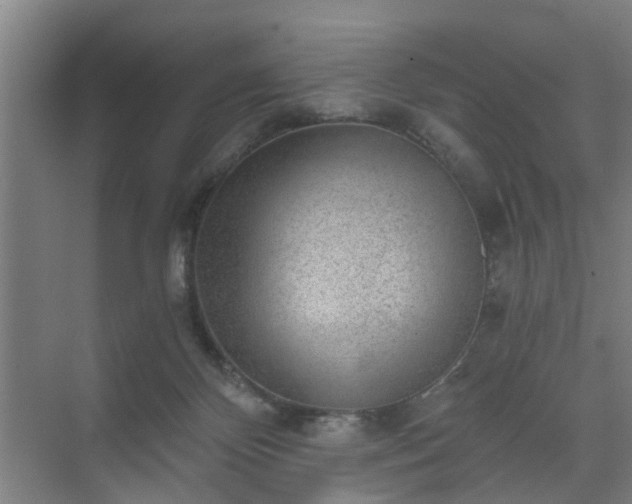 X0000072960124200607282306