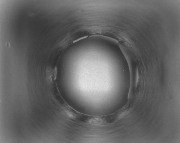 X0000072960125200607282306