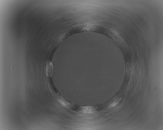 X0000072960127200607282306