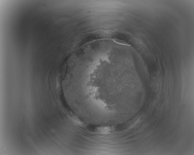 X0000072960131200607282306