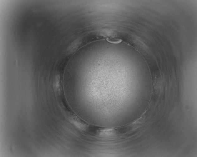 X0000072960132200607282306