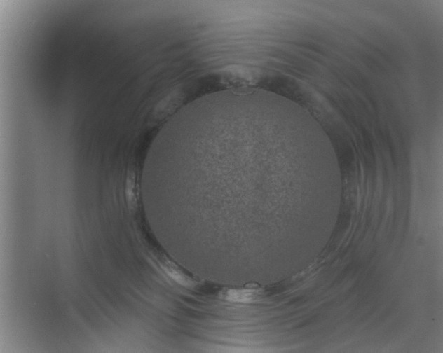 X0000072960134200607282306