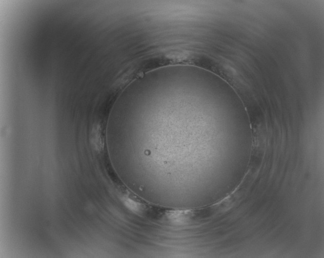 X0000072960136200607282306