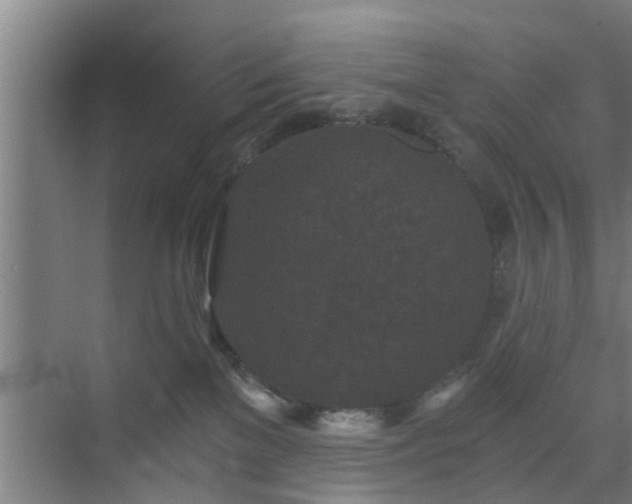 X0000072960137200607282306