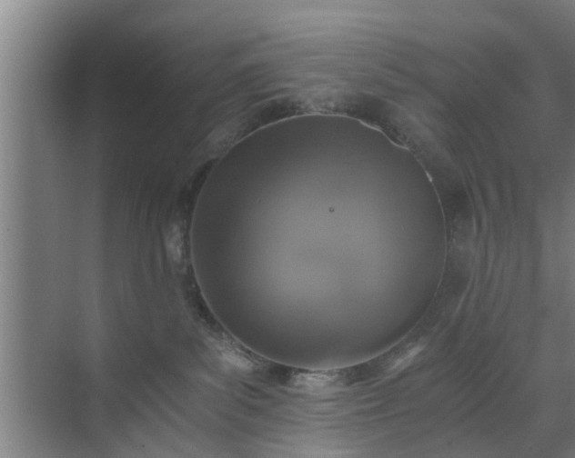 X0000072960139200607282306