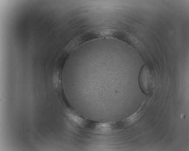 X0000072960140200607282305