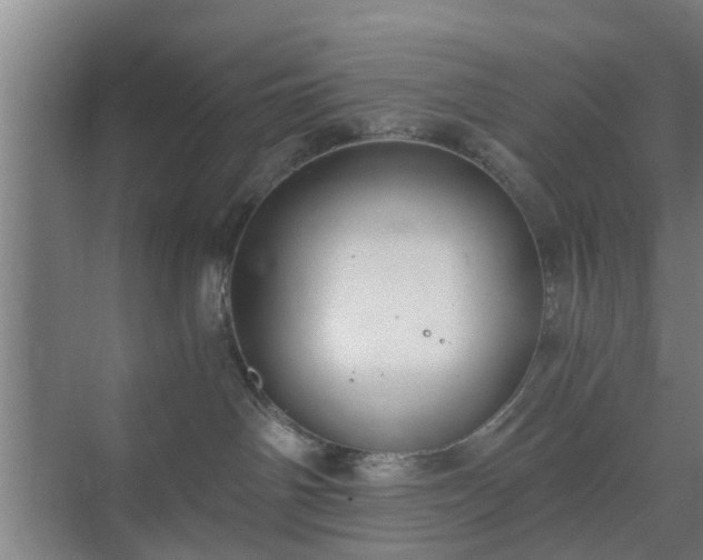 X0000072960142200607282305