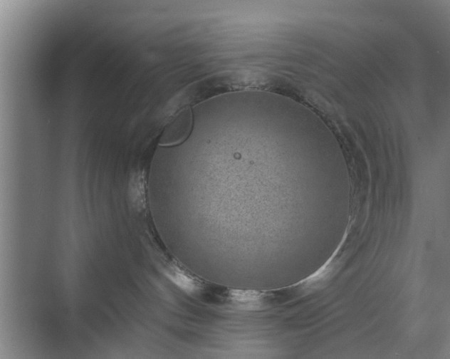 X0000072960144200607282305