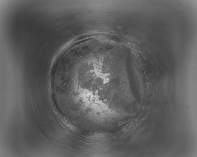 X0000072960149200607282305