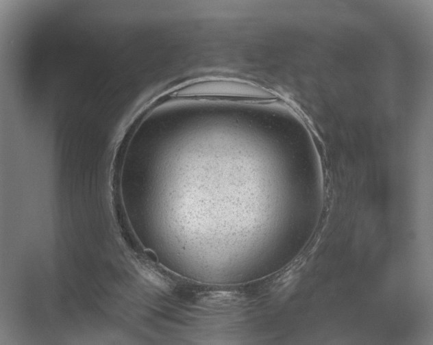 X0000072960151200607282305