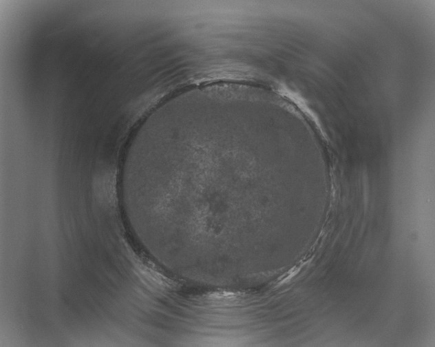 X0000072960154200607282305