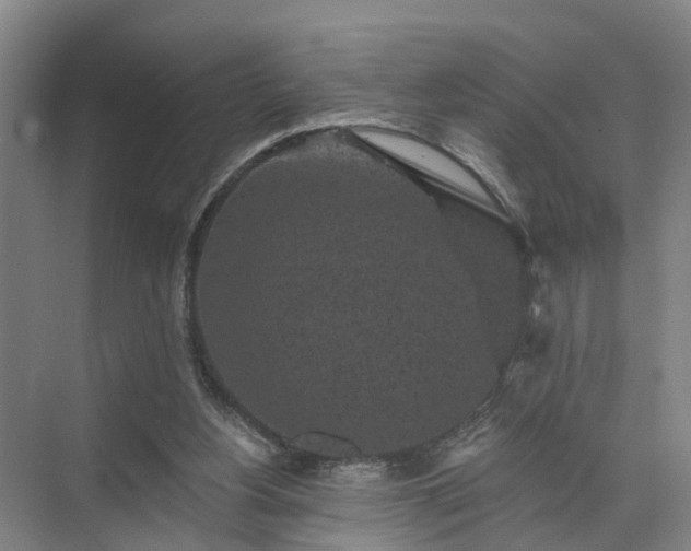 X0000072960156200607282305