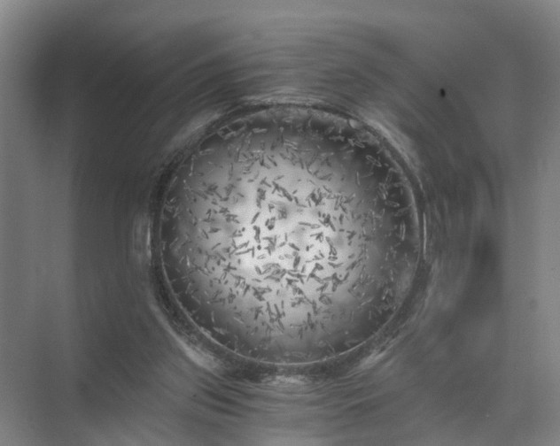 X0000072960157200607282305