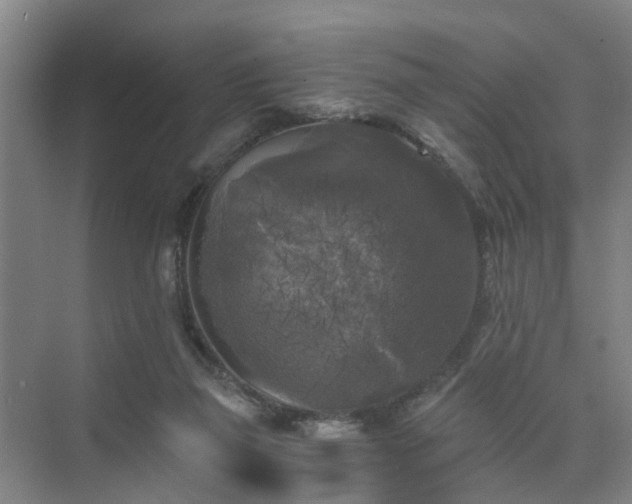 X0000072960165200607282305