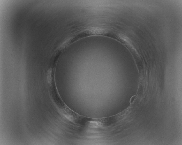 X0000072960167200607282305