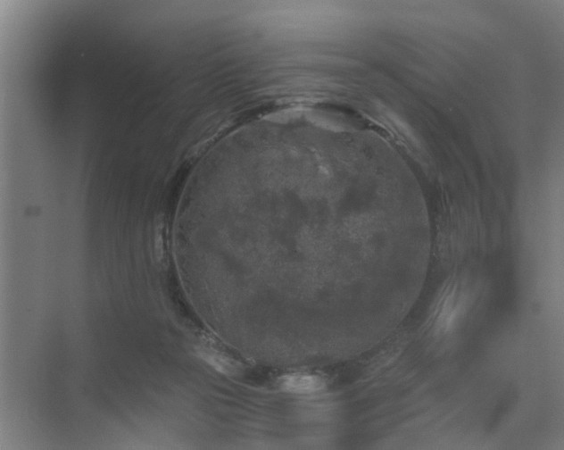 X0000072960169200607282305