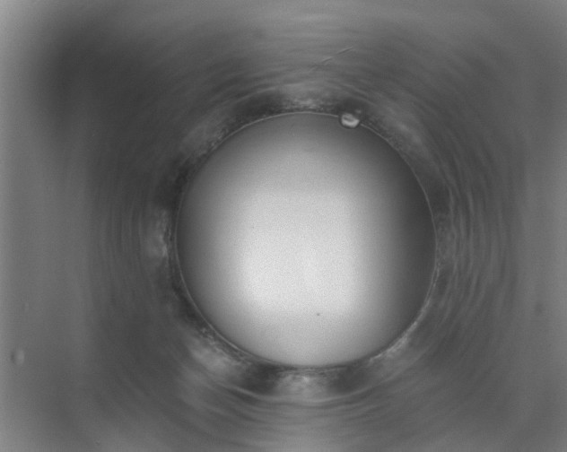 X0000072960174200607282305