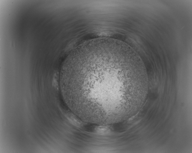 X0000072960175200607282305