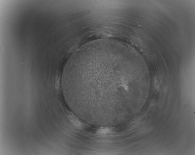 X0000072960177200607282305