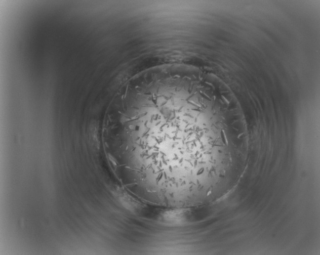 X0000072960178200607282305