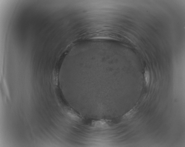 X0000072960180200607282305