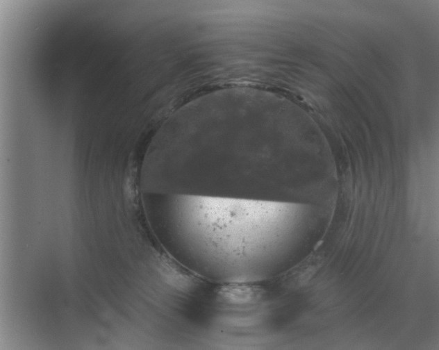 X0000072960181200607282305