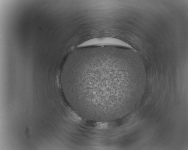 X0000072960185200607282305